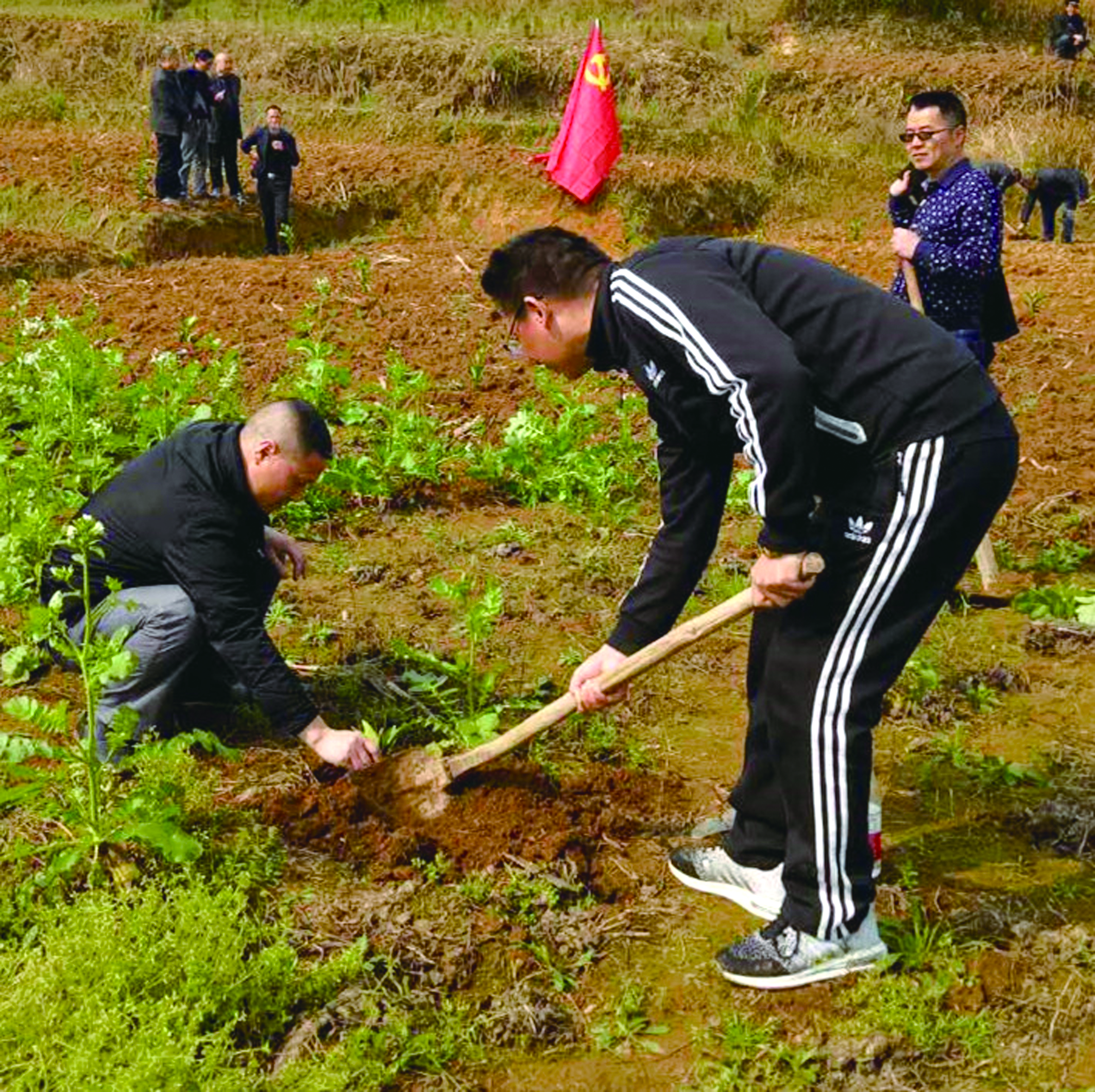 武岡分公司赴武岡市大甸鄉(xiāng)進行植樹活動